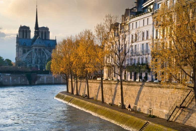 Catedral de Notre Dame